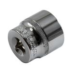 Copa-estandar-6-puntas-cr-vanadio-DISCOVER-3-8-x24mm
